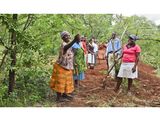 Nach jahrelanger Überzeugungsarbeit engagieren sich die Menschen in den lokalen Gemeinden für den Bodenschutz