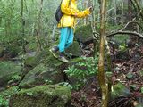 Aussichtspunkt im Gola-Regenwald, an der Grenze zu Liberia.