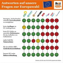 Übersicht zu den Antworten