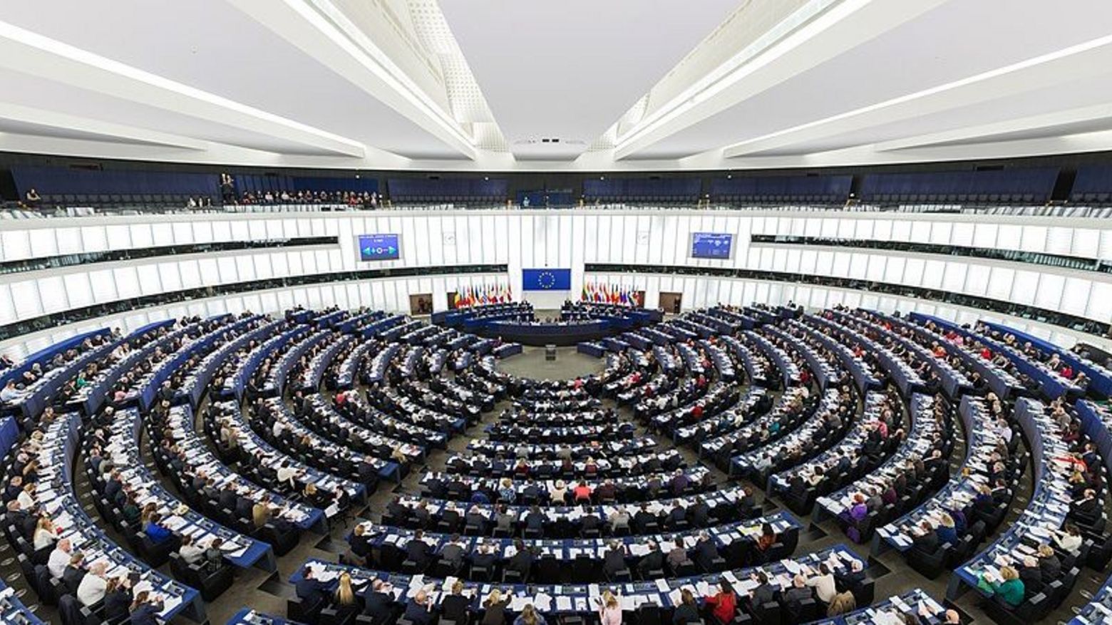 Das Europäische Parlament ist ein wichtiger Akteur der Menschenrechtsarbeit