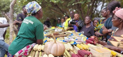 Ernährungssicherheit in Sambia