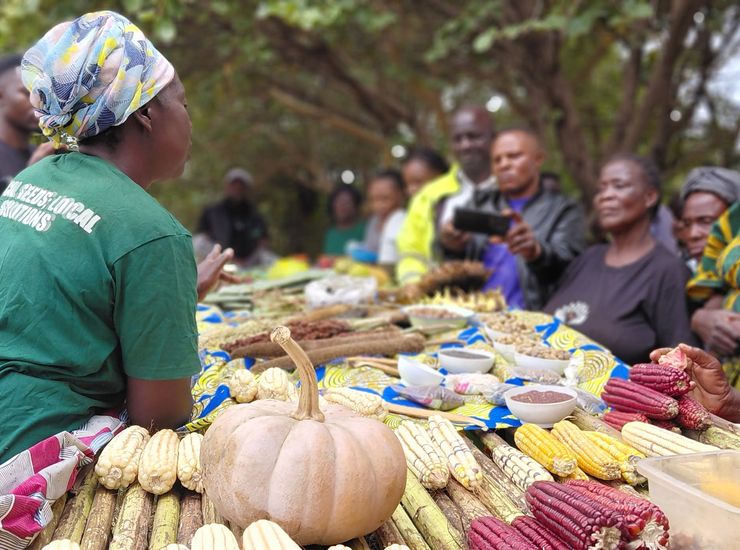 Ernährungssicherheit in Sambia