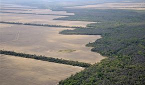 For Land Rights and just peace