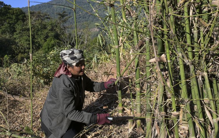 Feldarbeit im Hochland von Laos © Jörg Böthling / Brot für die Welt