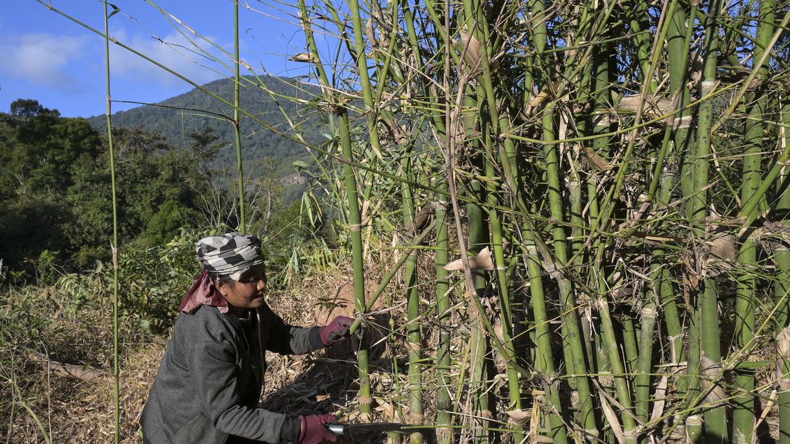 Frau Enang Khaikeo "Me Noy" bereitet mit Brandrodung ihr Waldstück für den Anbau von Reis vor.Projektpartner:  ACD - Association for Community Development
