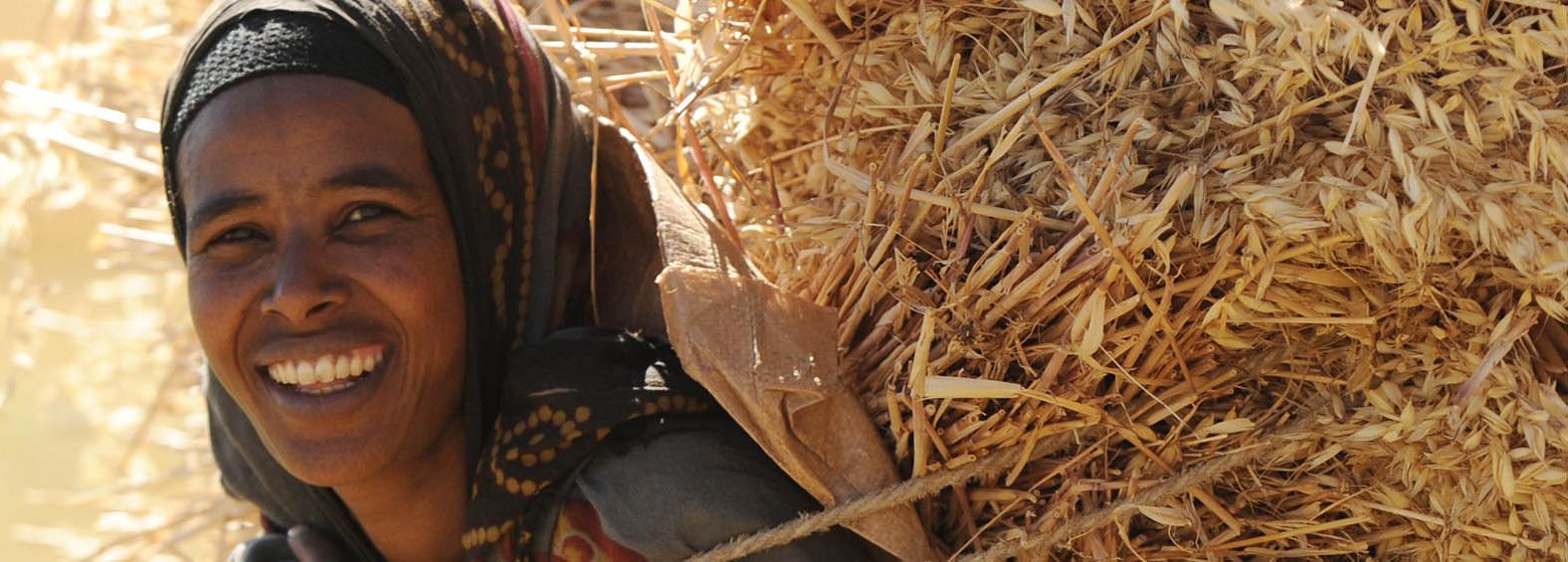 Szenen aus dem Projekt des BfdW Partners "Ethiopan Evangelical Church Mekane Yesus North Central Ethiopia Synod - DASSCFoto zeigt: Szenen aus dem Dorf Anberbir und Umgebung. Landwirtschafts- und Ernteszenen.
