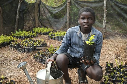 Malawi, Scope Permakultur Projekt Malawi, Scope Permakultur Projekt