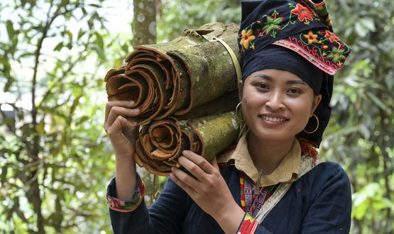 Vietnam: Mit Zimt aus der Armut