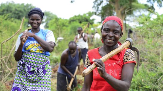 Bäuerinnen und Bauern in Kenia arbeiten an einer Bewässerungsleitung