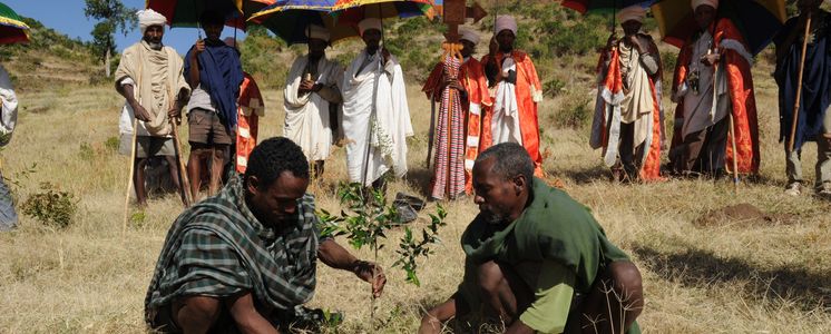 In Ethiopia a slope is being reforested: priests and monks of the nearby monastery Montogera have gathered at this symbolic planting of a church forest.