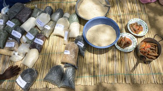 Sortenvielfalt und vegetarische Bratlinge