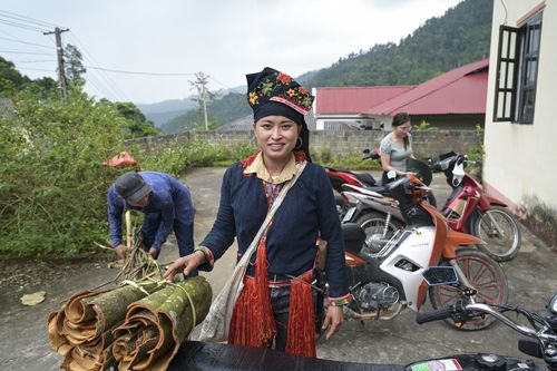 Zimtabbau mit Ton Hoang Thi Zimtabbau mit Ton Hoang Thi