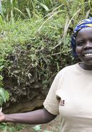 Kenia, Nandi, ADS North Rift, Dorf Chepsangor, Farmerin Pauline Maiyo (Freistellungserklärung liegt vor)