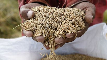 Spenden gegen Hunger
