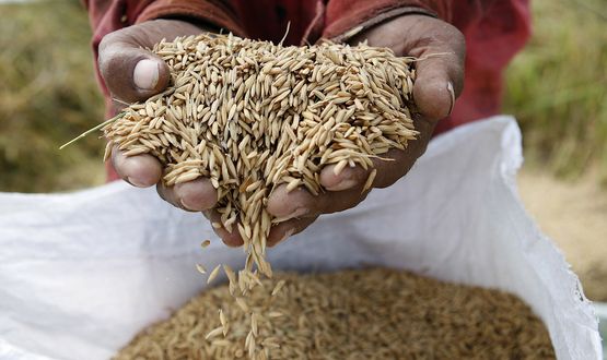 Hunger und Armut bekämpfen