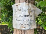 Warnung vor fallenden Kokosnüssen. Bild: Max Bieder