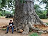 Steffen Wiese unter einem Baobab-Baum