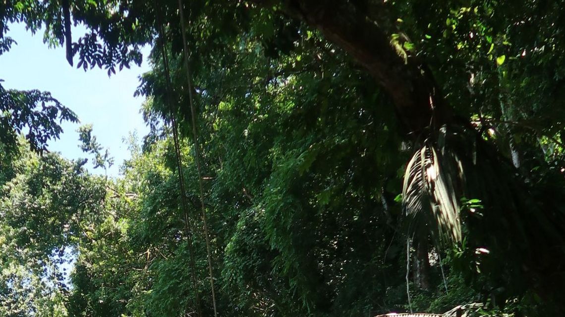im Nationalpark Manuel Antonio