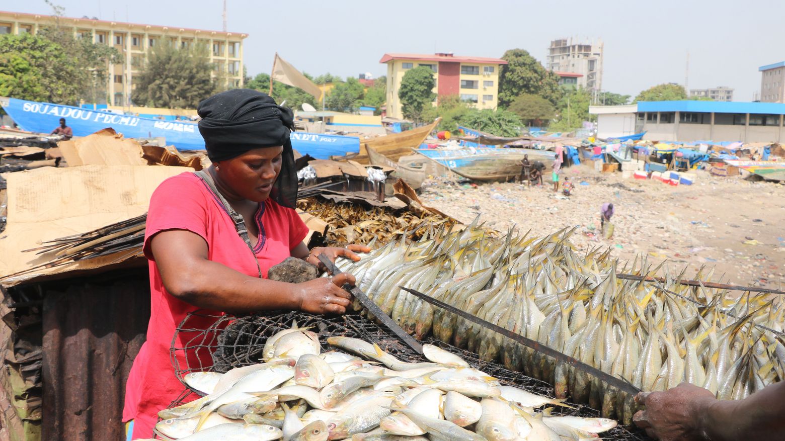Fischverarbeitung und Anlandung in Conakry