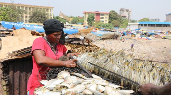 Fischverarbeitung und Anlandung in Conakry