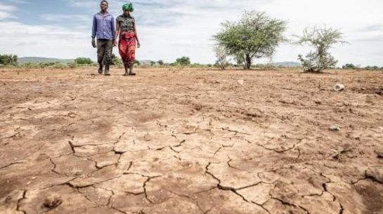 Dürre in Chimanimani, Zimbabwe