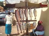 Fischverkäuferin Conakry / Guinea
