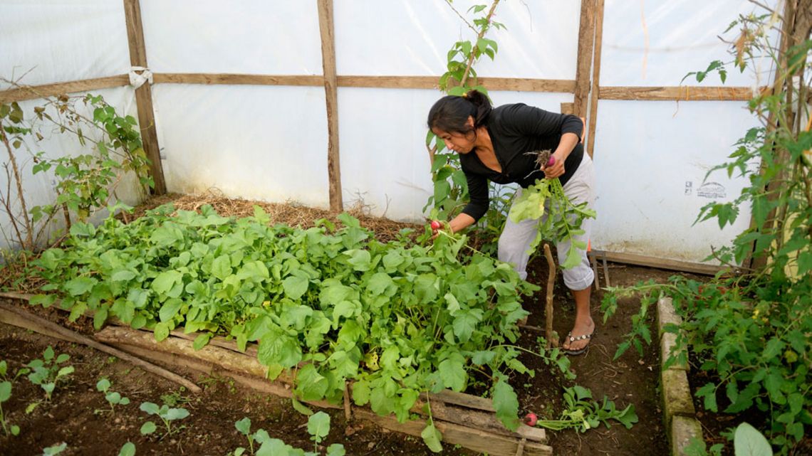 Frau bei der Gartenarbeit in einem Gewächshaus