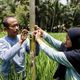 Didi Rohendr (Pa Didi) and his daughter, Samrotul Puadah 24, (Ai) position the bamboo trap developed as a method of climate-friendly pest management - designed to trap flies that lay eggs that destroy the rice plants.-Project partner:  JAMTANI-Project Name: Adaptation to Climate Change, Mitigation and Disaster Risk reduction-Project Number: N-IDN-25-012-Date: February 2025-Location:  Bojong, Pandangerang, West Java, IndonesiaPhotographed by Emily Macinnes for Brot Für Die Welt