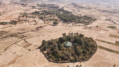 Mekame Selam Kolala Meskel church, surrounded by fields. <br><br>Forest land surrounding churches have become islands of biodiversity in seas of agriculture, the last remnants of a once-expansive native cover. Conservation is a key tenet of the Tewahdo Ethiopian Orthodox which has protected them until now when these forests are threatened like never before as agriculture expands to cope with the country's booming population which is due to double over the next 30 years.