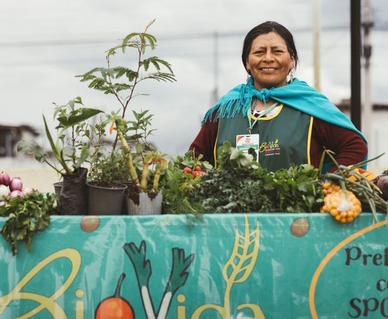 Erlinda Pillajo auf dem Biomarkt in Cayambe