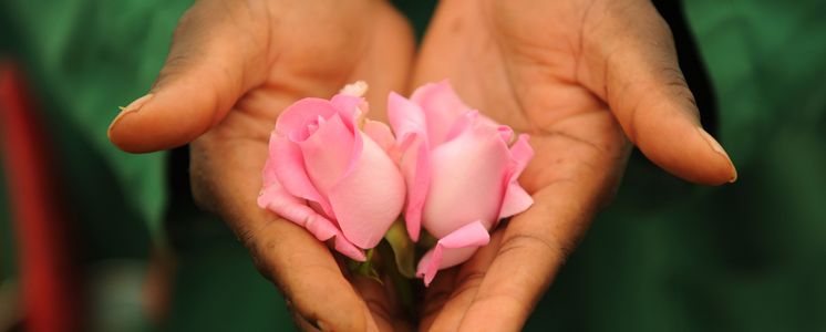 Blumen 