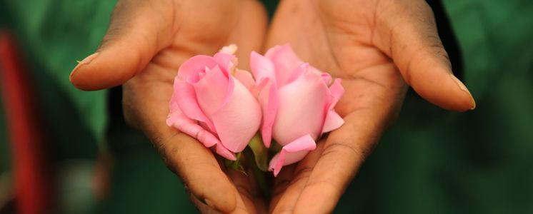 Rosen in Hand