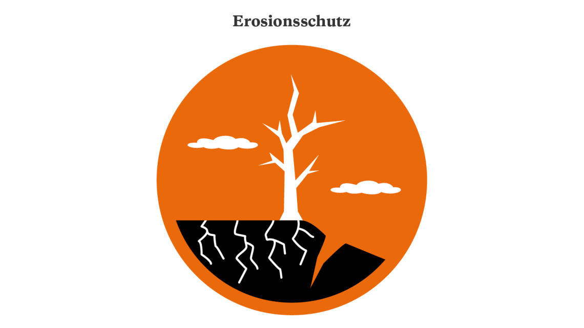 Illustration eines Baums der an einer Abbruchkante steht 