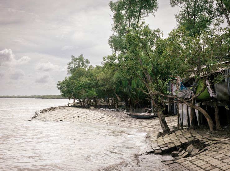 Sundarbans