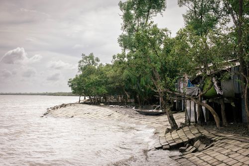 Sundarbans Sundarbans