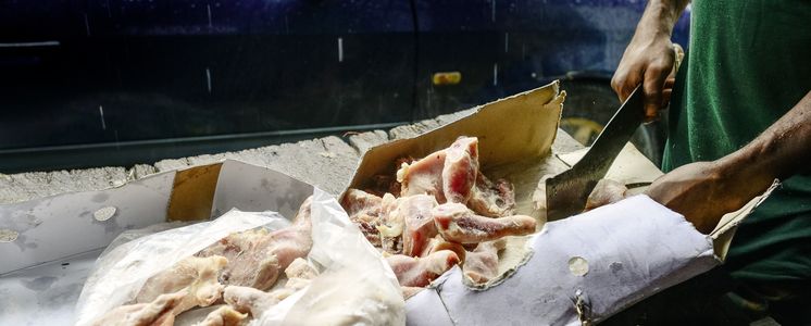 Verkauf von illegal importiertem Huehnerfleisch aus der EU z.B. UK, das Fleisch wird aus Benin nach Nigeria geschmuggelt