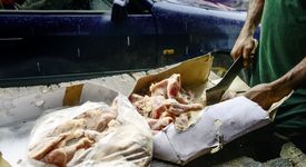 NIGERIA, Lagos, Frozen Food, Markt Ijora, Verkauf von illegal importiertem Huehnerfleisch aus der EU z.B. UK, das Fleisch wird aus Benin nach Nigeria geschmuggelt