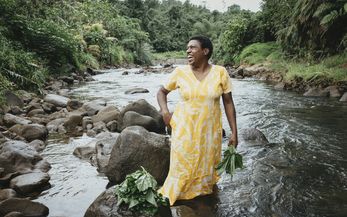 Pressefotos Pressefotos