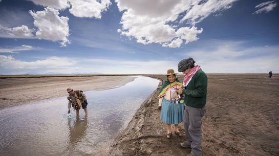 Wasserknappheit Peru