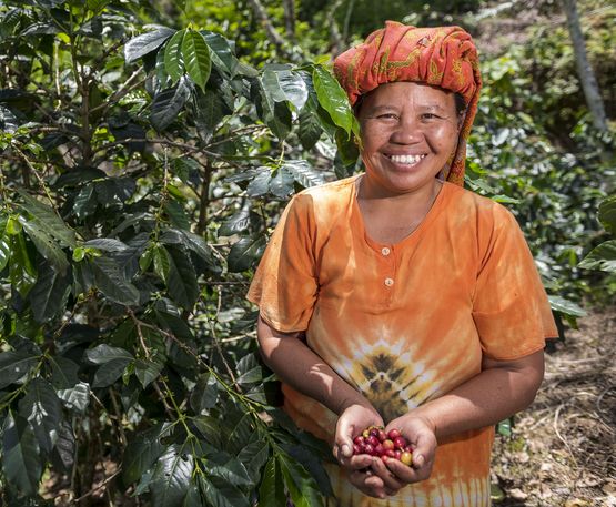 Alberthin Randa auf ihrem Kaffeefeld mit frisch geernteten Kaffeebohnen in der Hand