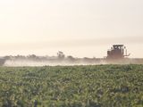 Kleinbäuerliche Landwirtschaft geht unter