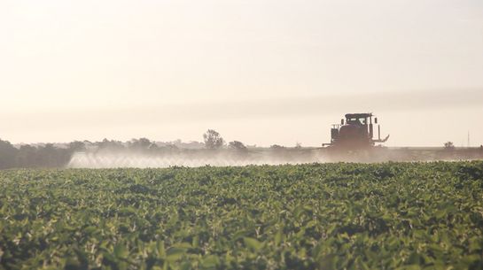 Kleinbäuerliche Landwirtschaft geht unter