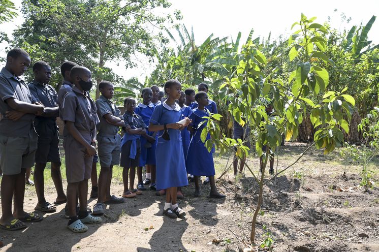 Tsokamkanasi Schule, Scope Permakultur Projekt