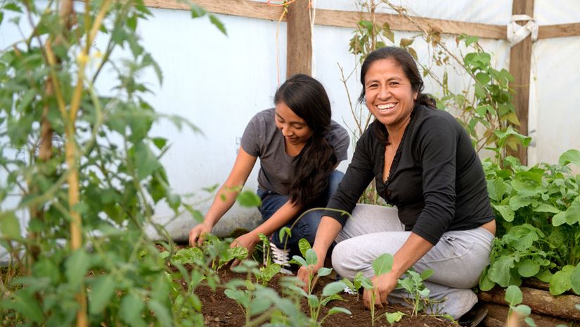 zwei Frauen bei der Gartenarbeit im Gemüsebeet im Gewächshaus