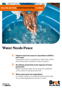 Position Paper: Water Needs Peace