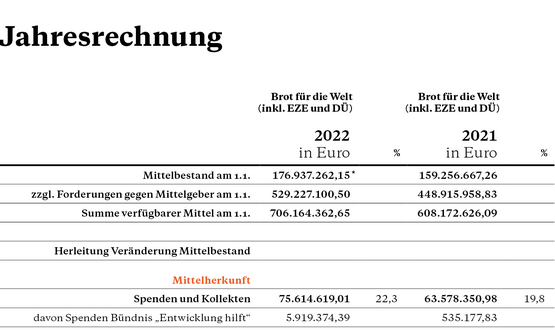 Einnahmen und Projektausgaben