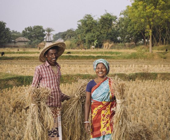 Ehepaar Sundori Murmu und Sunil Soren in ihrem Reisfeld bei der Reisernte