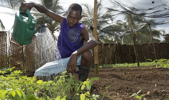 Was steckt hinter dem Hype um Urban Gardening?