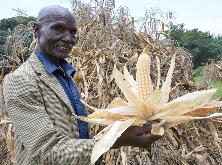 Edwin Lagat zeigt den geernteten Mais