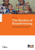Dialogue 17: The burden of breadwinning